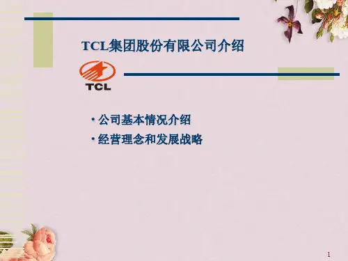TCL集团的经营理念与发展战略(ppt 45页)