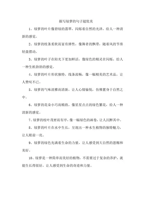 描写绿萝的句子 超优美