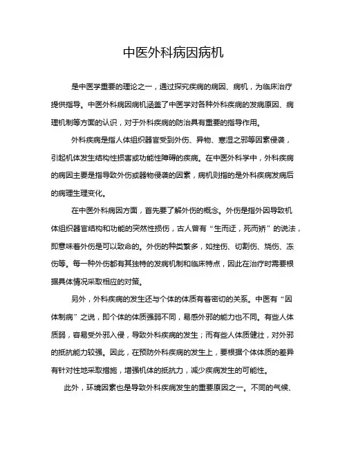 中医外科病因病机