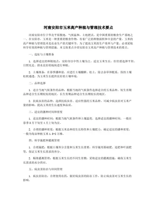 河南安阳市玉米高产种植与管理技术要点