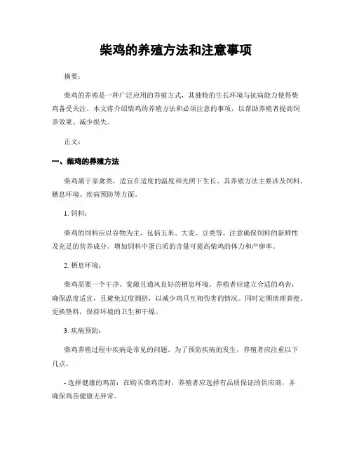 柴鸡的养殖方法和注意事项