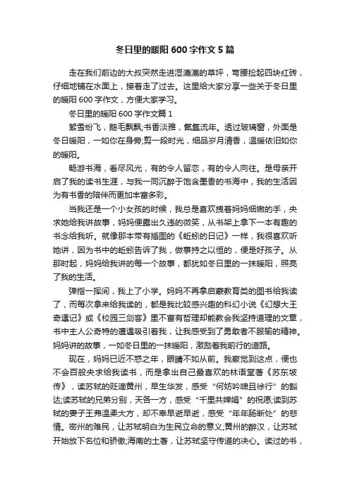 冬日里的暖阳600字作文5篇