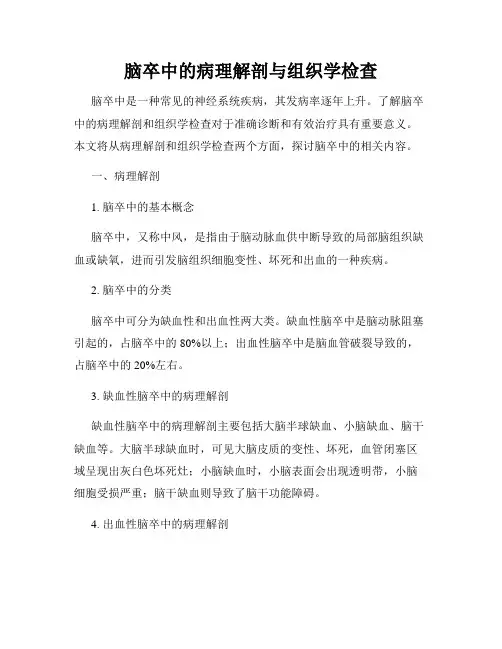 脑卒中的病理解剖与组织学检查
