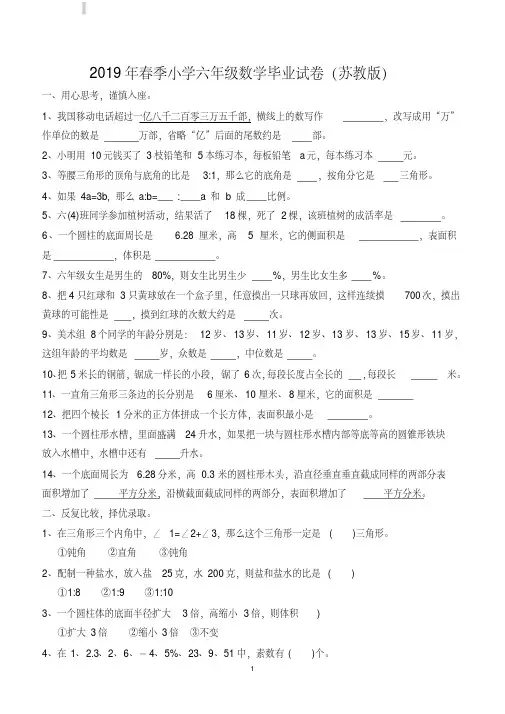 2019年小学六年级小升初数学毕业模拟试卷附参考答案-精选.pdf