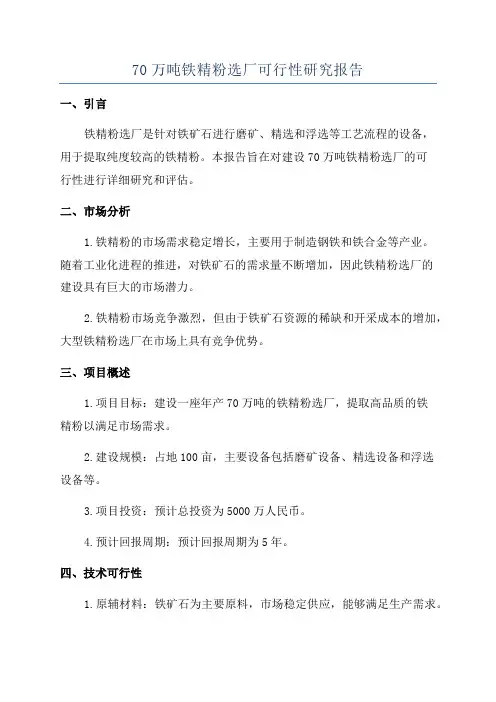70万吨铁精粉选厂可行性研究报告