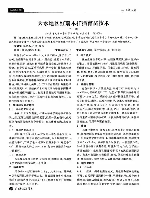 天水地区红瑞木扦插育苗技术