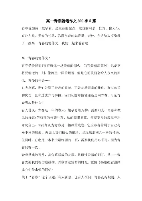 高一青春随笔作文800字5篇