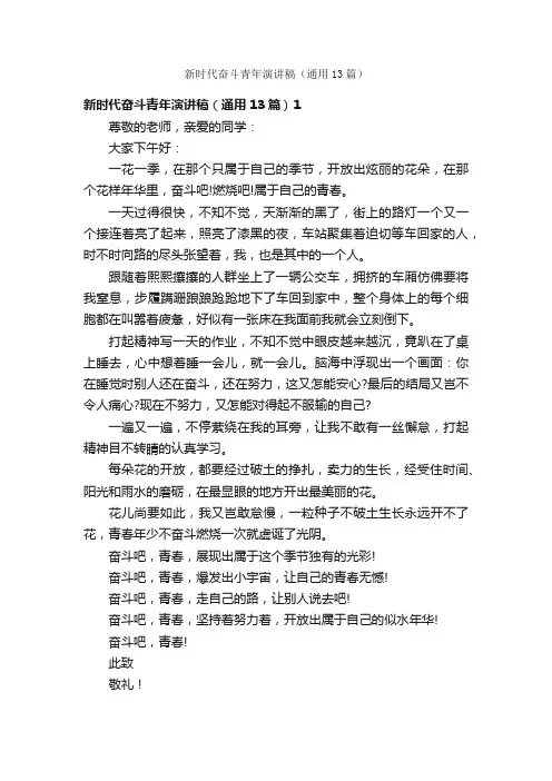 新时代奋斗青年演讲稿（通用13篇）