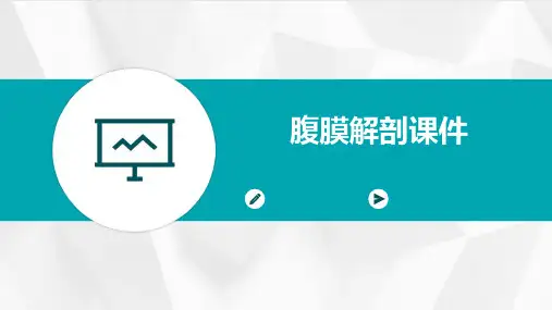腹膜解剖课件PPT课件