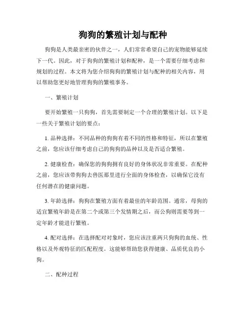 狗狗的繁殖计划与配种