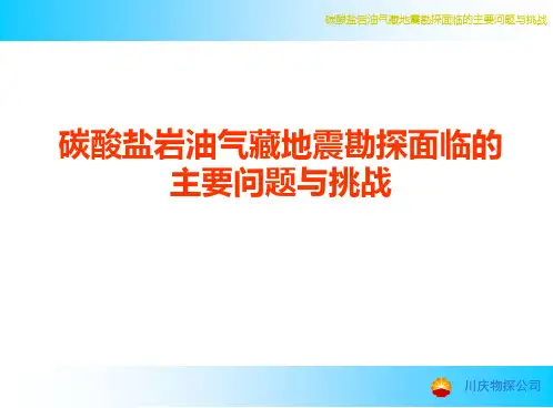 碳酸盐岩油气藏地震勘探面临的主要问题与挑战