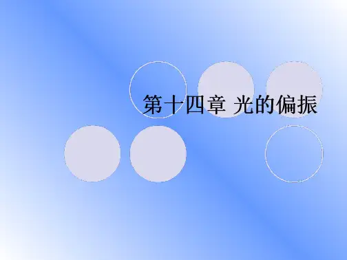 工程光学偏振文档全文免费阅读、在线看