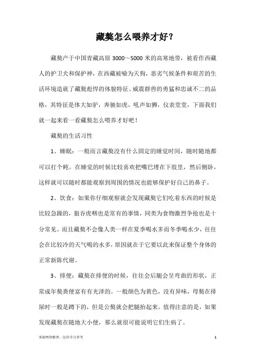 藏獒怎么喂养才好？