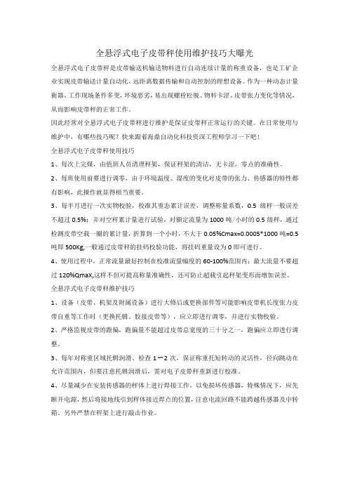 全悬浮式电子皮带秤 使用维护技巧大曝光