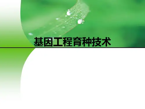 基因工程育种技术