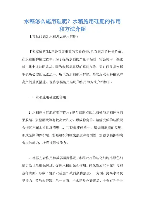 水稻怎么施用硅肥？水稻施用硅肥的作用和方法介绍