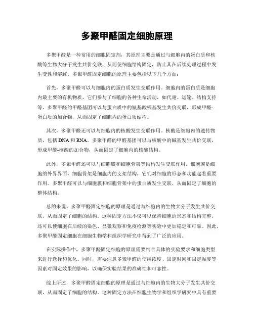 多聚甲醛固定细胞原理