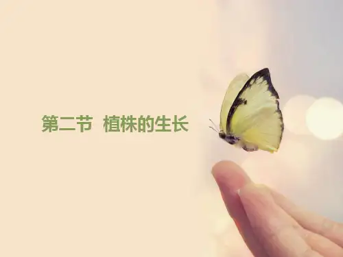 生物鲁科版六年级下册 《植物的生长》CEP课件2