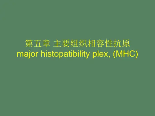 主要组织相容性抗原