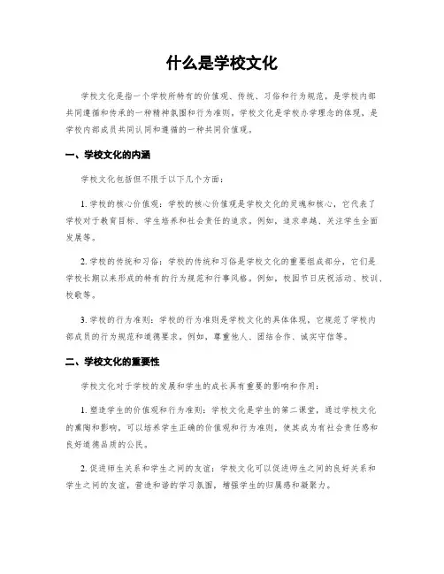 什么是学校文化