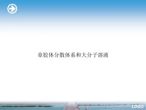 章胶体分散体系和大分子溶液优选演示