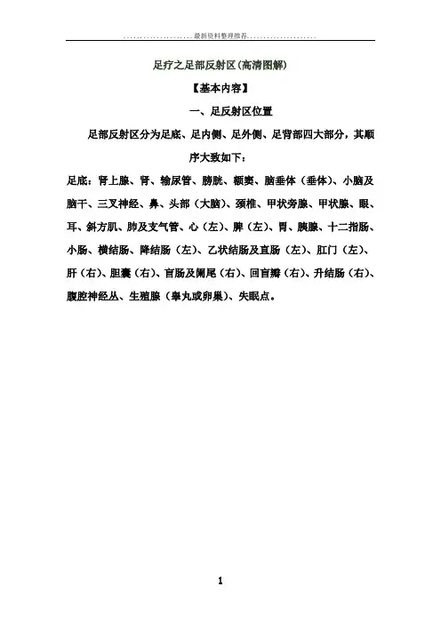 足疗之足部反射区(高清图解)