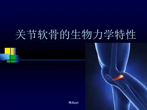 关节软骨的生物力学特性PPT课件
