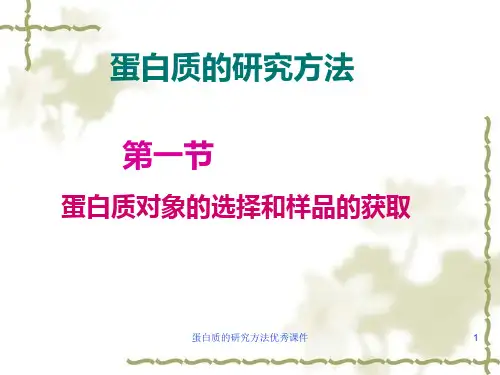 蛋白质的研究方法优秀课件.ppt