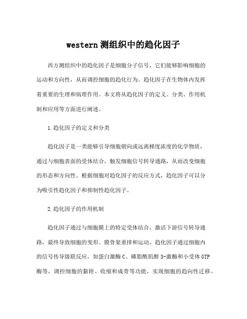 western测组织中的趋化因子