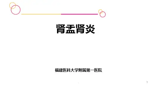 肾盂肾炎最新ppt课件