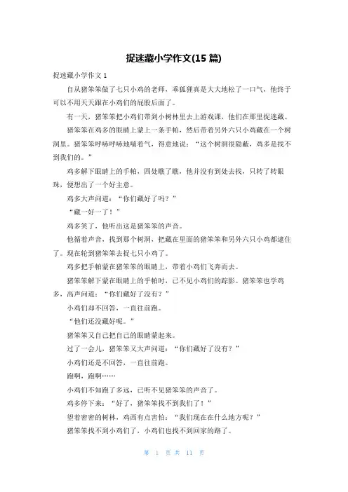 捉迷藏小学作文(15篇)
