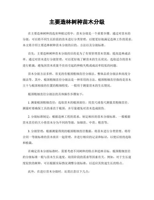 主要造林树种苗木分级