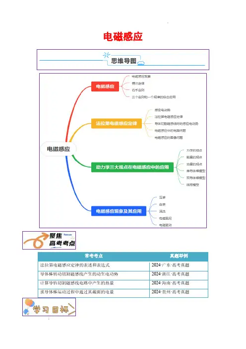 电磁感应(解析版)—2025年高考物理一轮复习知识清单