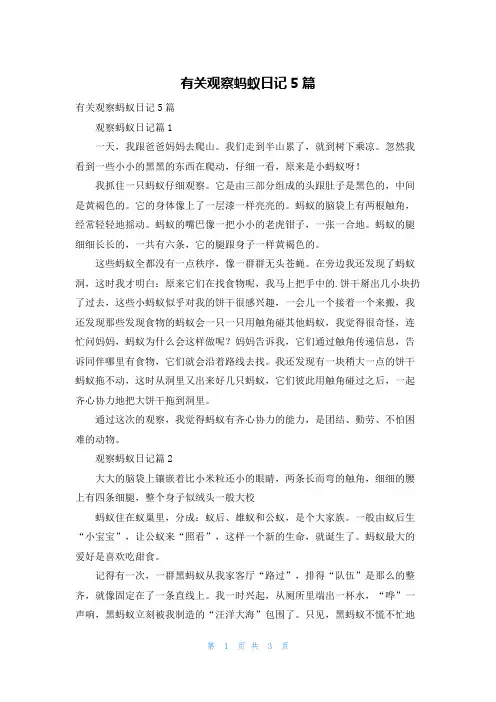 有关观察蚂蚁日记5篇