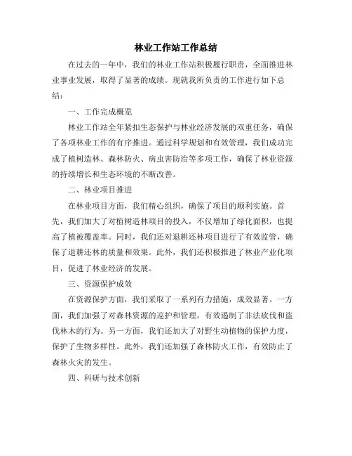 林业工作站工作总结