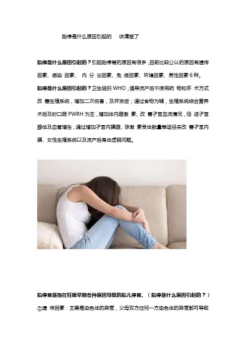 胎停是什么原因引起的   讲清楚了
