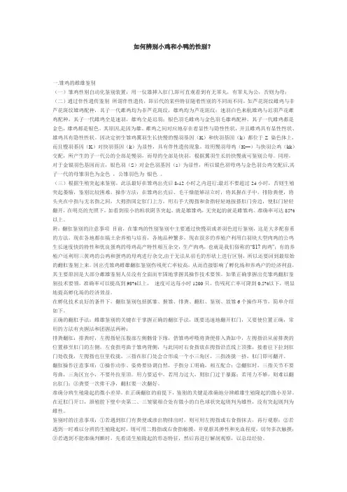 如何辨别小鸡和小鸭的性别？