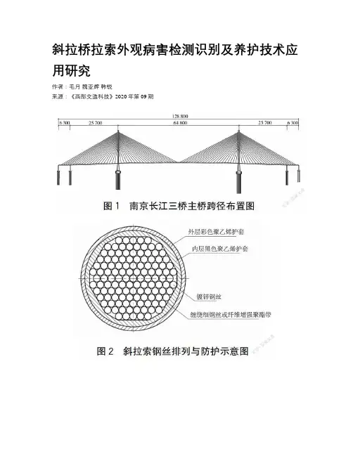 斜拉桥拉索外观病害检测识别及养护技术应用研究