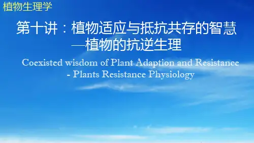 植物的抗逆性植物学