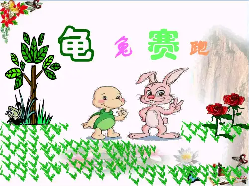 幼儿园中班故事《龟兔赛跑》PPT课件