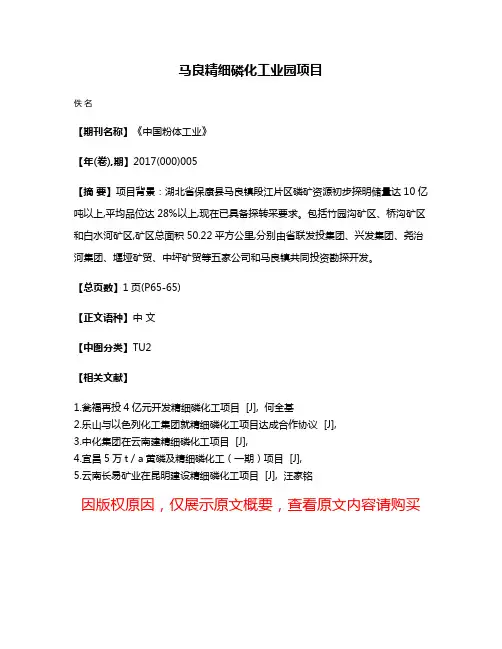 马良精细磷化工业园项目