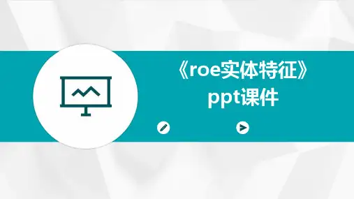 《roE实体特征》课件