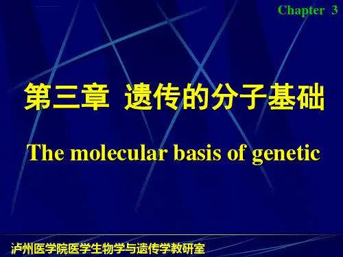 医学遗传学第三章遗传的分子基础课件