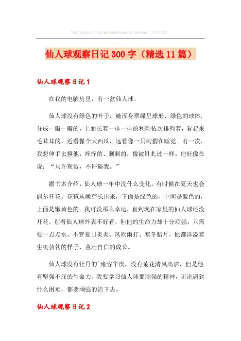 仙人球观察日记300字(精选11篇)
