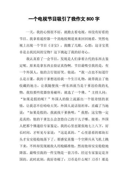 一个电视节目吸引了我作文800字