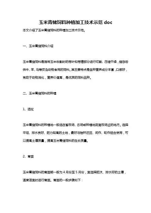 玉米青储饲料种植加工技术示范doc