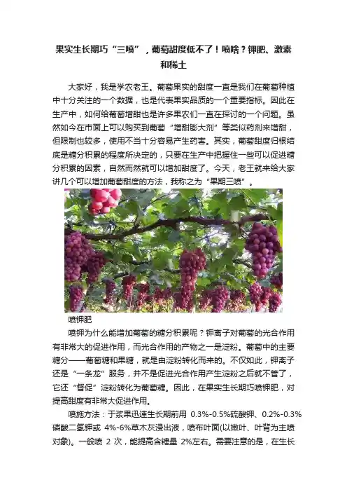 果实生长期巧“三喷”，葡萄甜度低不了！喷啥？钾肥、激素和稀土