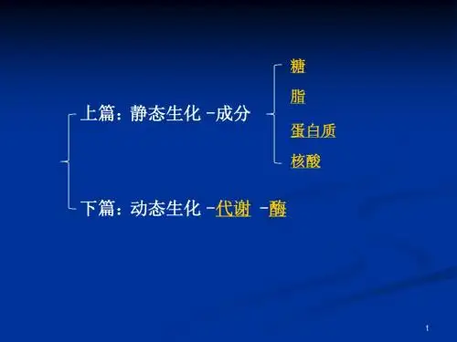 食品生化第六章酶
