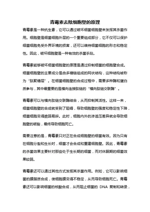 青霉素去除细胞壁的原理