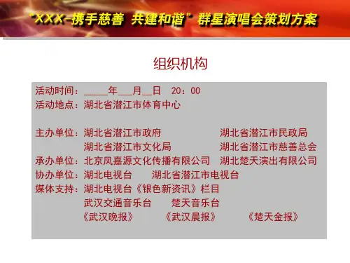 群星演唱会策划方案